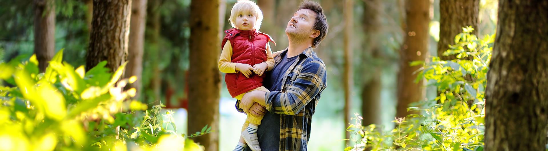 Father with son in woods